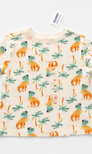Blusa Praia e Dino