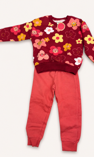 Conjunto Flores e Tigre